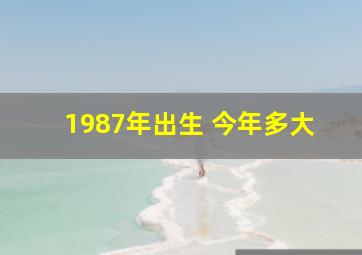 1987年出生 今年多大